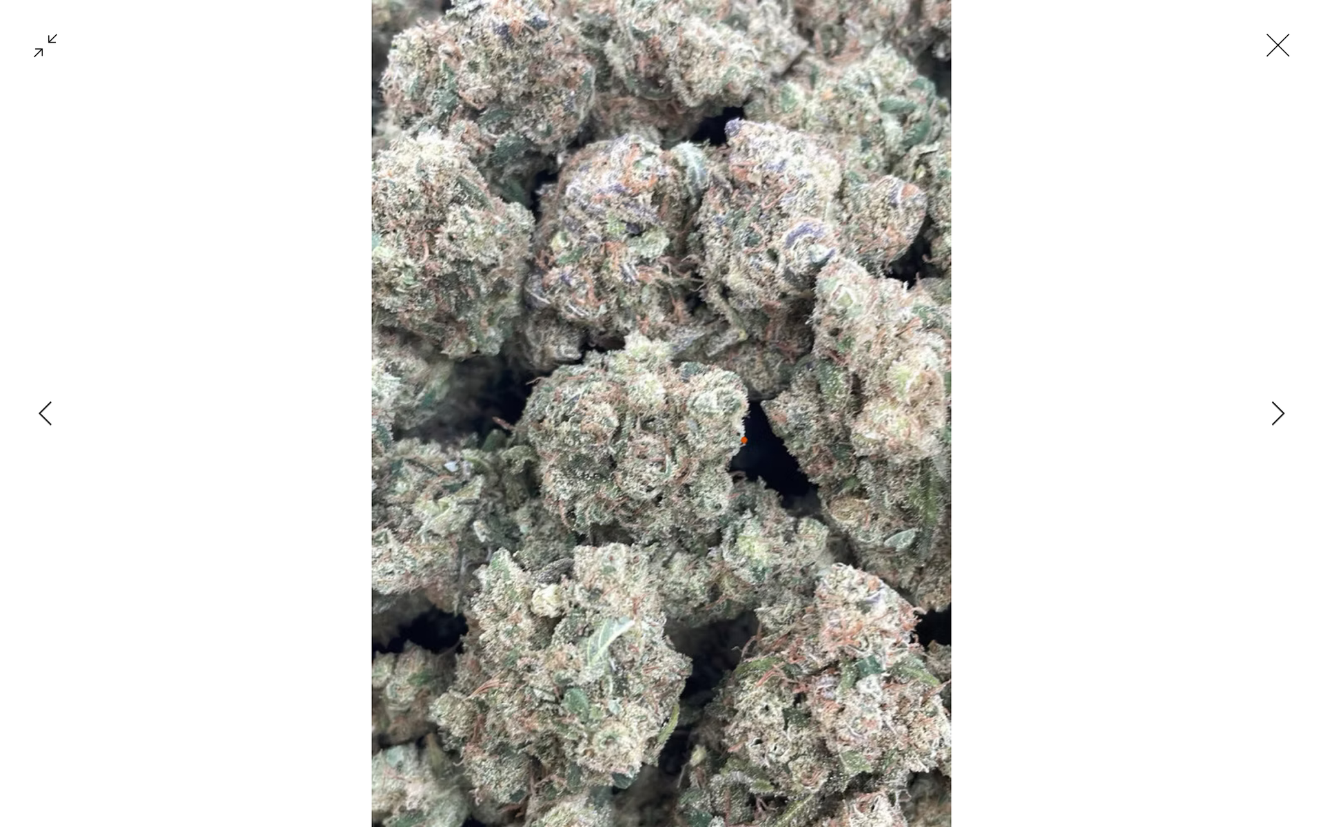 Guccizz Luxury High THCA Flower (S) Chernobyl / 3.5G (1/8oz)